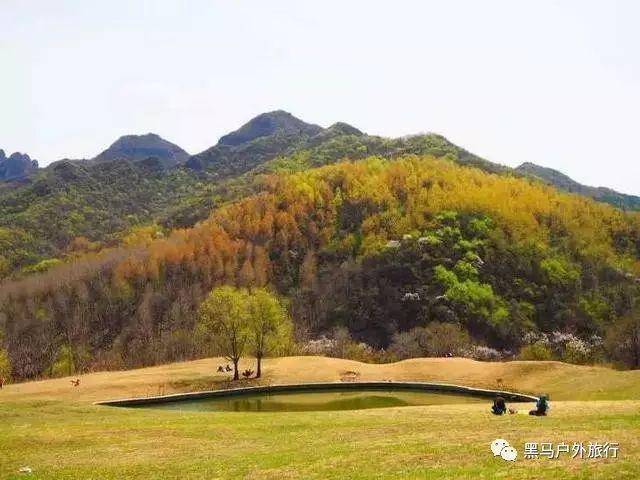 年轻帅的像教科书，如今却“毁容式”变老，这5位男星越活越走样