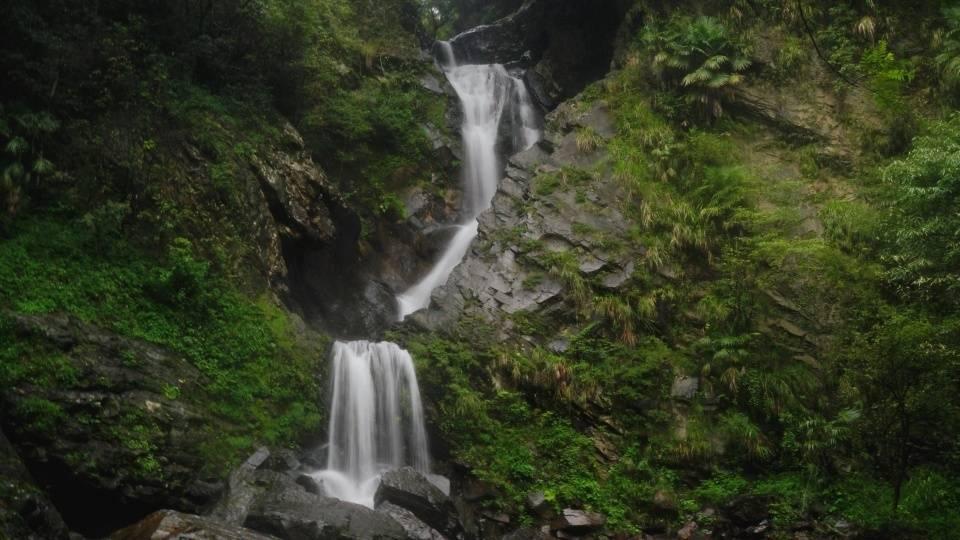 虫虫助手下载